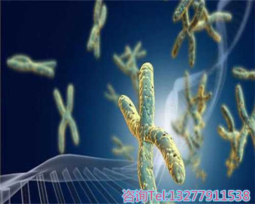 杭州试管助孕全面指南：探寻辅助生殖方案，助力生育梦想