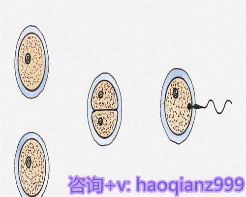 专业辅助生殖机构:助您圆梦的实惠之选