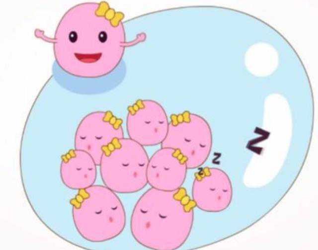 杭州试管助孕与辅助生殖:费用、机构及代怀注意事项,助您圆满家庭梦想