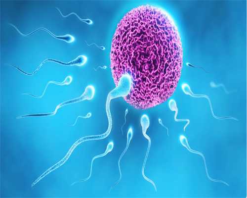 杭州助孕指南：试管移植后关键护理与二胎费用解析