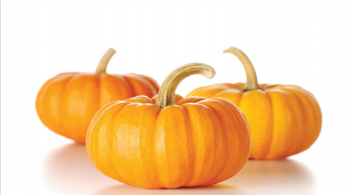 2026年杭州试管婴儿费用及攻略解析