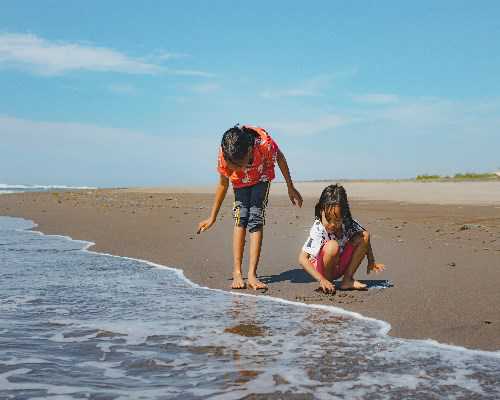 杭州供卵助孕费用详解：卵巢健康与辅助生殖技术的完美结合