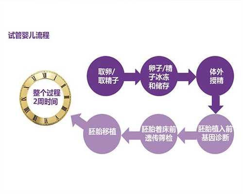 掌握供卵试管移植时机，提升助孕成功率