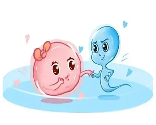 杭州第三代试管婴儿流程与费用全解析,助孕家庭必看!