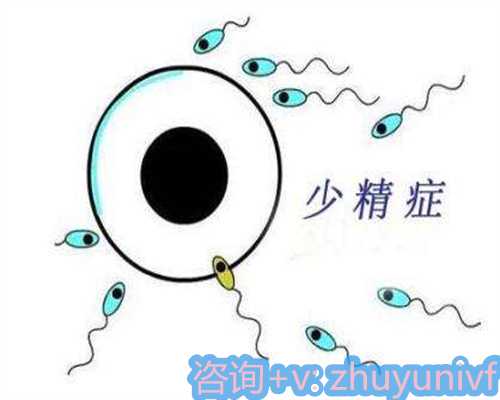 六月黄螃蟹的理想蒸制时间与美味烹饪法