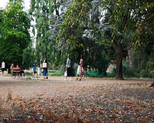 杭州试管助孕：胚胎移植后孕反消失与乳房变化，辅助生殖专家解析