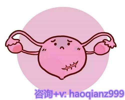 杭州助孕指南:代生、代怀与供卵服务机构及代妈费用解析