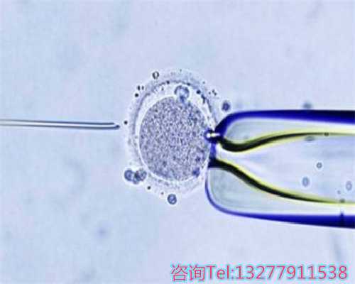 单纯疱疹病毒阳性患者的试管婴儿助孕攻略：专家解析与生育希望