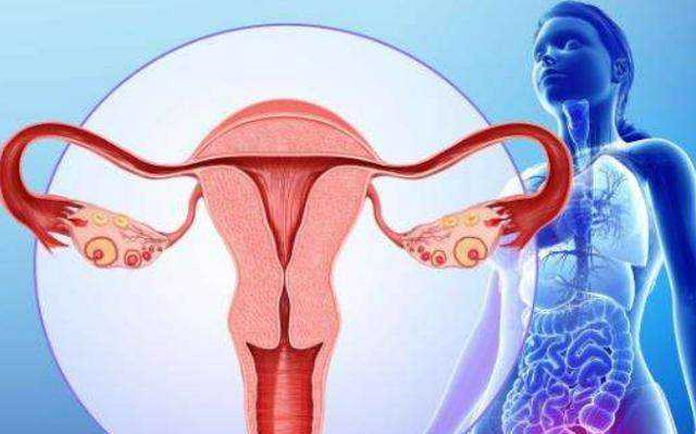 福州泰国试管婴儿中介服务指南